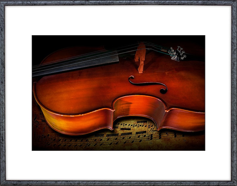 Cello Still Life Photograph: Classical Music Art Print immagine 2