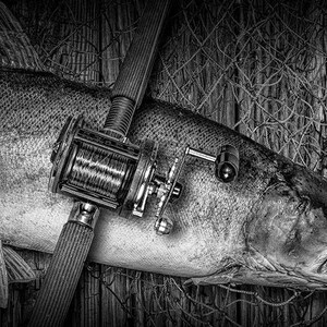 Rainbow Trout, Steelhead Photograph, Fishing Wall Decor, Angler, Fisherman,  Hook, Line, Fishing Rod and Reel, Man Cave Art, Fine Art Print