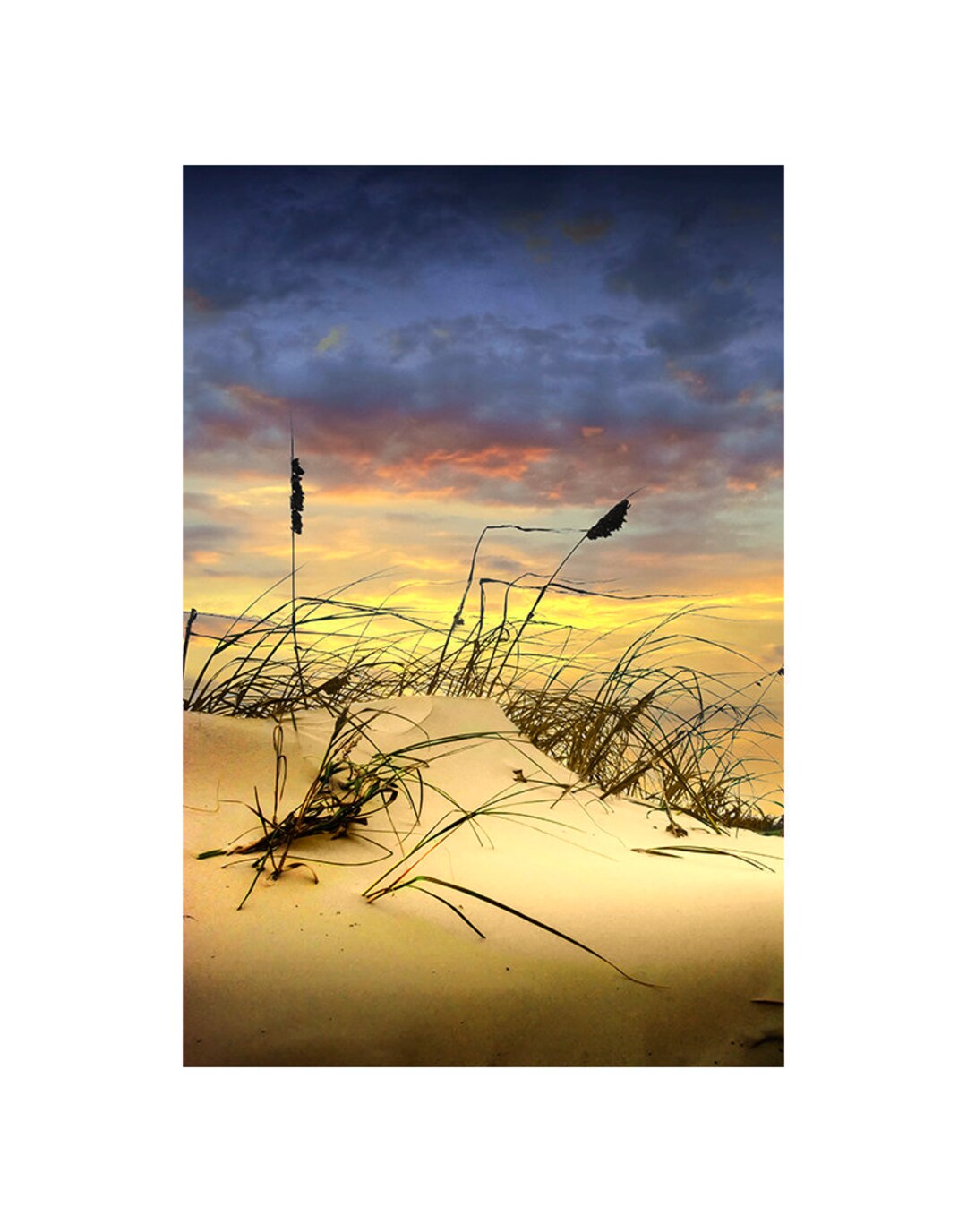 Dune and Beach Grass Wall Decor Print of Padre Island National Seashore