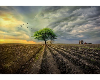 Prairie Farm Landscape with Field Furrows under a Dramatic Cloudy Sky Photo, A Classic Flatlander Landscape, Color, Black and White, Sepia