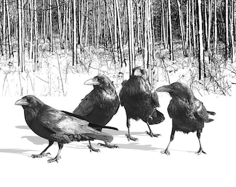 Black Gothic Ravens in the Snow at the Edge of the Woods in Winter, A Black and White Fine Art Surreal Fantasy Bird Photograph, wall decor