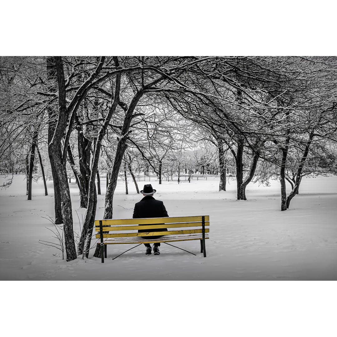 Seated Man on Yellow Park Bench Among Snowy Trees Photograph: Garfield ...