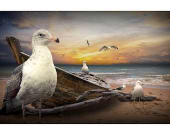 Gulls with Beached Boat at Sunset on Sandy Beach, Sea Gulls with Shipwrecked Boat, Wooden Boat Nautical Seascape Photo, Black White or Sepia