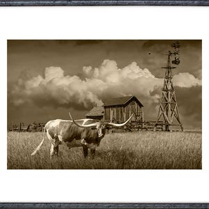 Longhorn Steer Sepia Photograph: Farm Windmill, South Dakota Prairie image 2