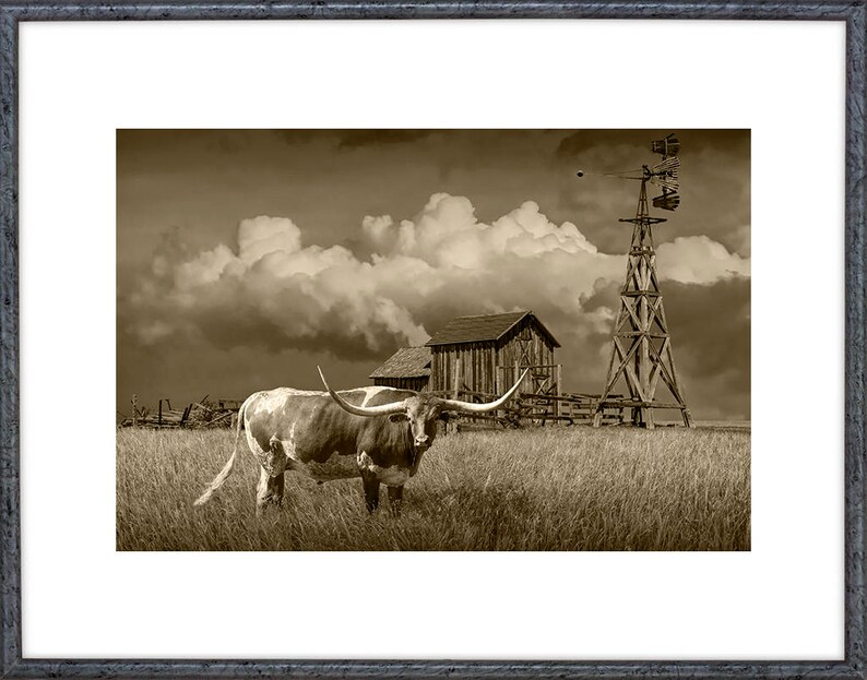 Longhorn Steer Sepia Photograph: Farm Windmill, South Dakota Prairie image 2