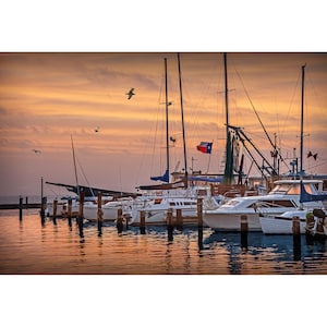 Texas Aransas Pass Harbor at Sunrise, Texas Nautical Wall Decor Photograph in the Gulf of Mexico with Harbor Boats and Flying Gulls image 1