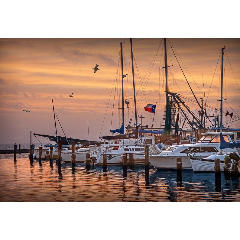 Texas Aransas Pass Harbor at Sunrise, Texas Nautical Wall Decor Photograph in the Gulf of Mexico with Harbor Boats and Flying Gulls image 1