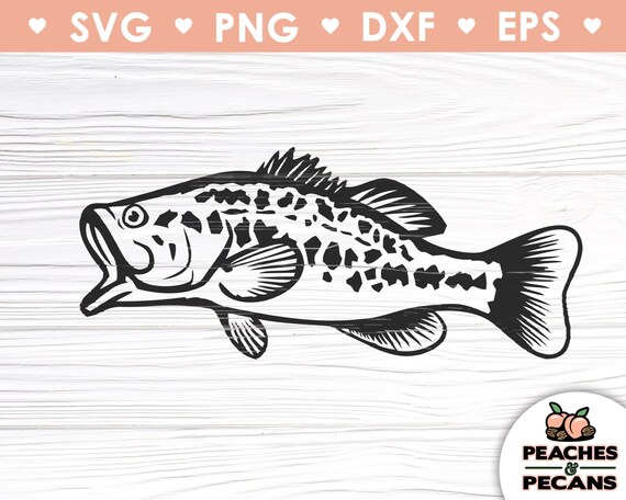 Bass fish SVG / largemouth bass svg Cut Files for Cricut and | Etsy