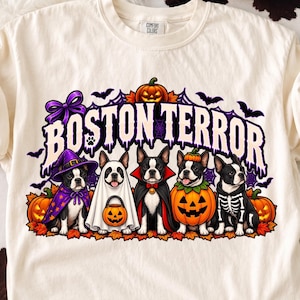 May include: A cream-colored t-shirt featuring a graphic of five Boston Terrier dogs in Halloween costumes. The text reads BOSTON TERROR above the dogs, who are dressed as a witch, a ghost, a vampire, a pumpkin, and a skeleton, surrounded by pumpkins.