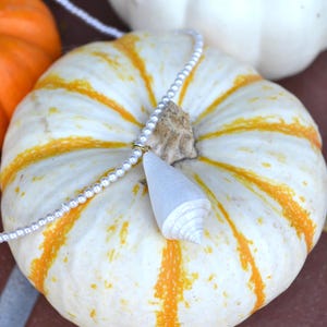 May include: A white and orange striped gourd is adorned with a pearl necklace featuring a white, cone-shaped pendant. Other gourds are visible in the background, creating a fall harvest theme.