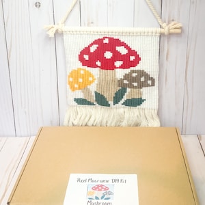 May include: A brown cardboard box with a white label that says "Pixel Macrame DIY Kit Mushroom". The label has a small image of a red, yellow, and brown mushroom with green leaves.