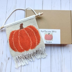 May include: A macrame wall hanging featuring a large orange pumpkin design. The pumpkin is centered on a beige background with a fringe at the bottom. The wall hanging is suspended from a wooden dowel with a natural rope hanger. A cardboard box is in the background.