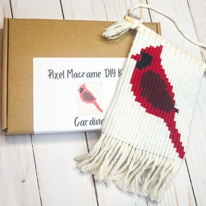 May include: A DIY macrame kit featuring a cardinal bird design. The kit includes a white cotton cord, a wooden dowel, and a printed pattern. The finished macrame piece is a wall hanging with a fringe.
