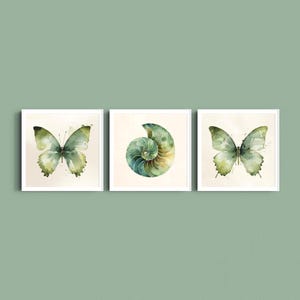 Minimalist Butterfly and Shell Prints Set of 3, Green Neutral Wall Art, Japandi Botanical Decor, Square Printable Gallery Wall