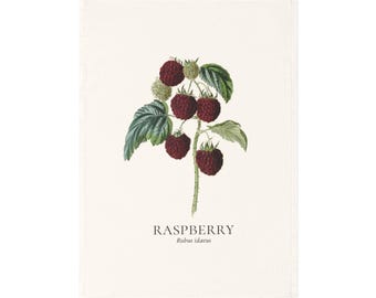 Paño de cocina botánico de frambuesa / Ilustración de fruta vintage con nombre en latín / Paño de cocina de algodón orgánico y decoración de pared