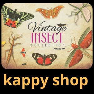 bundle of vintage insect graphic illustrations| 636  Antique Illustration| PNG & EPS Vector Clipart | Butterflies, Beetles, Bees