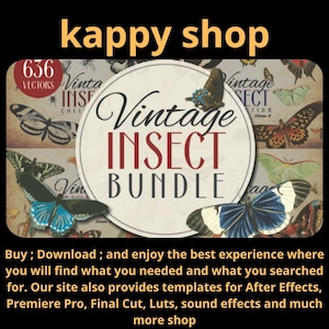 Vintage Insect Illustrations: 636 PNG & EPS Vector Clipart