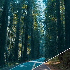 LUTs cinematográficos, edición de vídeo, corrección de color, preajustes, Premiere Pro, DaVinci, CapCut, filtros para vlogs de bodas imagen 6