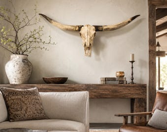 Texas Long Horn Skull Wall Decor