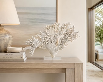Blanc Reef Coral Sculpture on Acrylic Base
