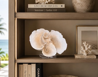 Calypso Coral Sculpture