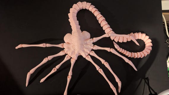 エイリアン風フェイスハガー（実物大）ポーズやペイントが可能 - Etsy 日本