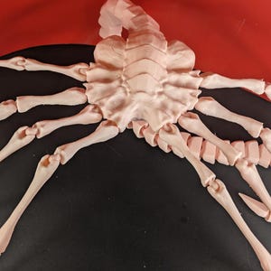 Alien inspired Facehugger (Life size)  poseable and paintable
