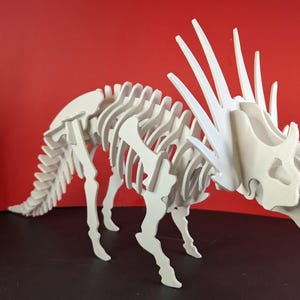Puede incluir: Modelo de esqueleto de Triceratops blanco tridimensional. El dinosaurio tiene un gran volante, tres cuernos y una cola larga. El modelo está hecho de piezas en capas y se encuentra sobre una superficie negra contra un fondo rojo.