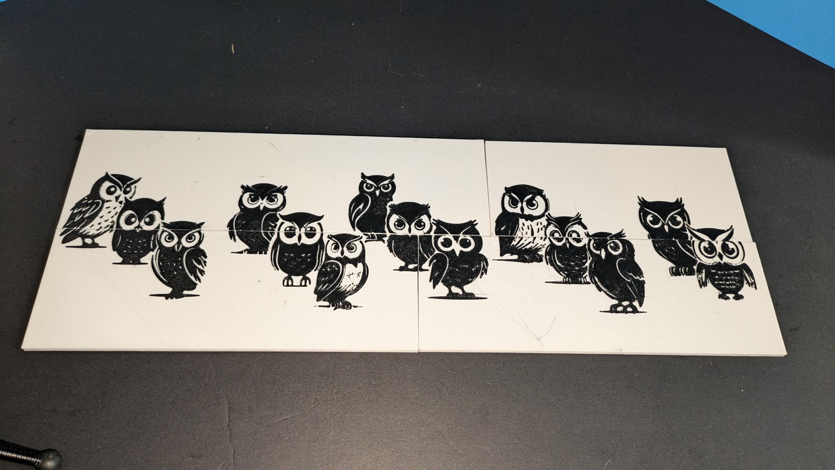 Disappearing Owl Illusion