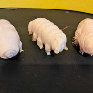 Puede incluir: Se muestran tres figuras de osos de agua de color claro. Las figuras tienen un cuerpo segmentado y patas pequeñas. Están dispuestas sobre una superficie oscura con un fondo amarillo.