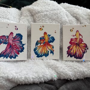 May include: Three small square canvases each feature a colorful betta fish painting. The fish have flowing fins in shades of pink, blue, yellow, and orange. Bubbles are painted above each fish. The canvases are displayed on a white, fluffy surface.