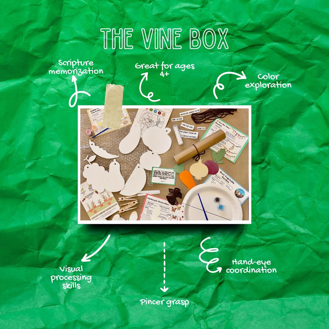 I Am the Vine Bible Box - Etsy