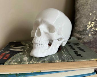 3Dプリントされた人間の頭蓋骨：関節式顎、ペンホルダーオプション、解剖学的装飾