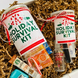 Holiday Survival Kit Gift in a Can, Lets Get Lit Christmas Recovery Kit, Cute Christmas Stocking Stuffer for Mom, Holiday Gift Box Goodies