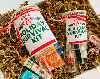 Holiday Survival Kit Gift in a Can, Lets Get Lit Christmas Recovery Kit, Cute Christmas Stocking Stuffer for Mom, Holiday Gift Box Goodies