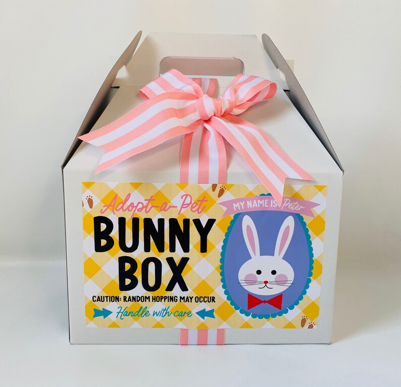 Easter Gift Box for Kids Easter Egg Hunt Basket Idea for Etsy