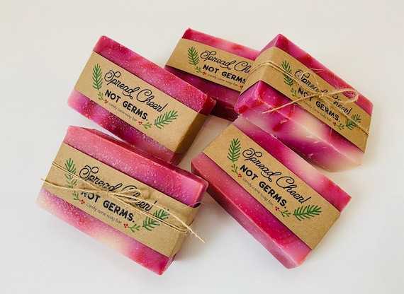 Candy Cane Soap Bar Stocking Stuffer for Girls, Spa Gift Box Christmas Soap for Mom, Spread Cheer Not Germs Quarantine Gift Idea Il_570xn