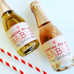 Galentines Day Mini Champagne Label Gift, Valentines Day Wine Label Gift for Bestie, Galentines Day Party Decor Bubbles for my Babes