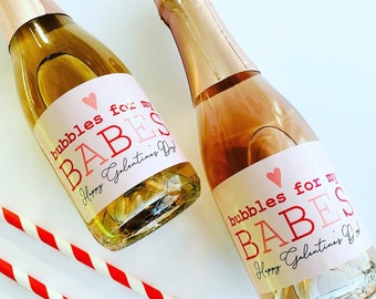 Galentines Day Mini Champagne Label Gift, Valentines Day Wine Label Gift for Bestie, Galentines Day Party Decor Bubbles for my Babes