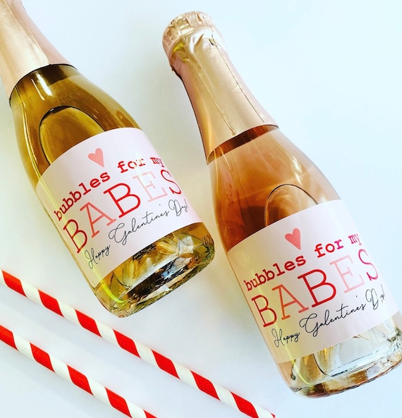 Galentines Day Mini Champagne Label Gift, Valentines Day Wine Label Gift for Bestie, Galentines Day Party Decor Bubbles for my Babes Il_570xn