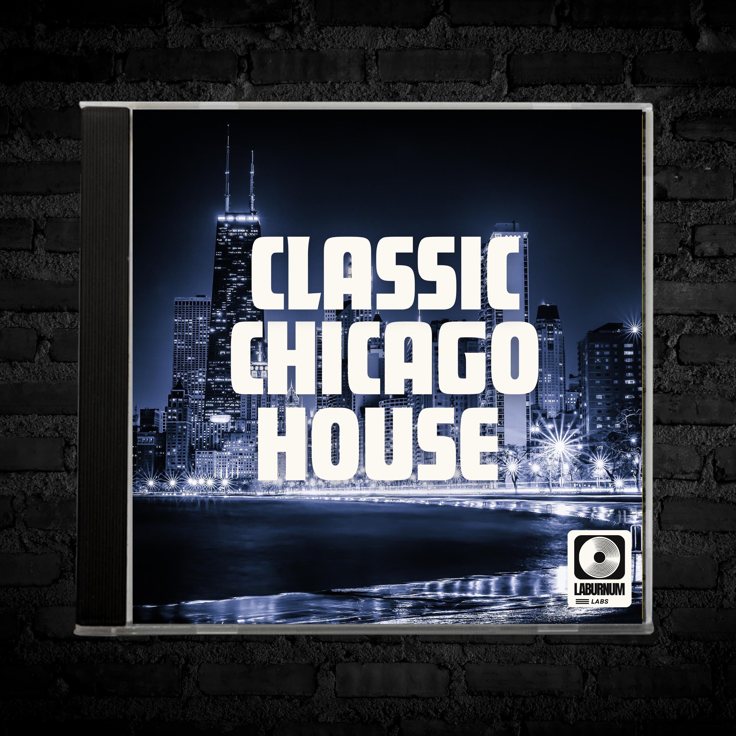 CHICAGO HOUSE VINYL ハウス　レコード　8枚まとめ Vintage Chicago House Music | 80s & 90s Dance Tracks (digital