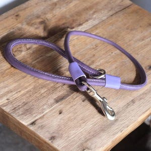 May include: A lilac dog lead with a silver clasp and accents, resting on a wooden surface. The lead is made of a rounded, stitched material. The metal clasp is shiny and reflective.