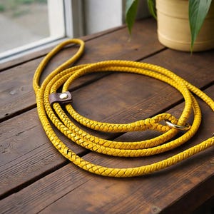 6ft Hand braided leather slip show lead