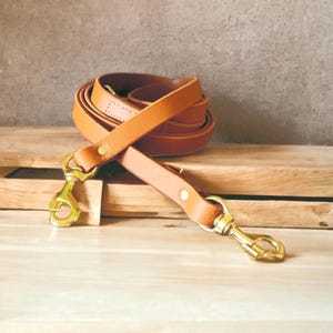 May include: A rolled tan leather dog lead with brass-coloured fittings. The lead is made from a single strip of leather and has a clasp at each end. The background is a light brown wooden surface.