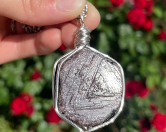 May include: A silver wire-wrapped pendant necklace featuring a textured, dark gray stone with a geometric design. The pendant hangs from a delicate silver chain. The background is blurred with green foliage and red flowers.