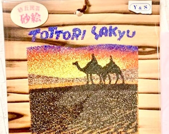 Zandkunst Woestijnornament Tottori Japan Retro