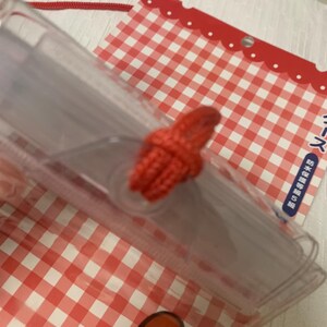 Pode incluir: Uma caixa de pl&aacute;stico transparente com um detalhe em forma de la&ccedil;o vermelho. A caixa &eacute; parcialmente vis&iacute;vel, com um padr&atilde;o xadrez vermelho e branco vis&iacute;vel no fundo. Uma corda vermelha est&aacute; presa &agrave; caixa.