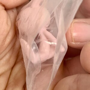Puede incluir: Una peque&ntilde;a figura de pl&aacute;stico de color rosa p&aacute;lido con forma fetal, encerrada dentro de una bolsa de pl&aacute;stico transparente, fina y arrugada. La figura presenta una cabeza redondeada y extremidades curvas, visibles a trav&eacute;s del material flexible.