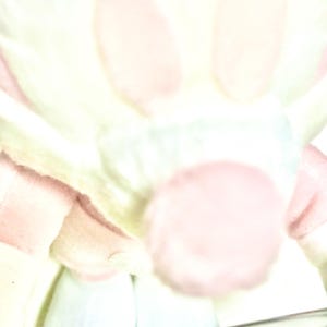 May include: A soft, plush toy featuring a rounded, light pink nose and pale, cream-colored fur. The character has two prominent, upright ears and a small, circular body structure. The overall appearance is light, airy, and brightly illuminated.