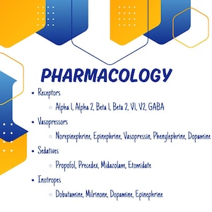 CRNA School Interview Mastery - Full Video Course | PDF Slides Included image 3